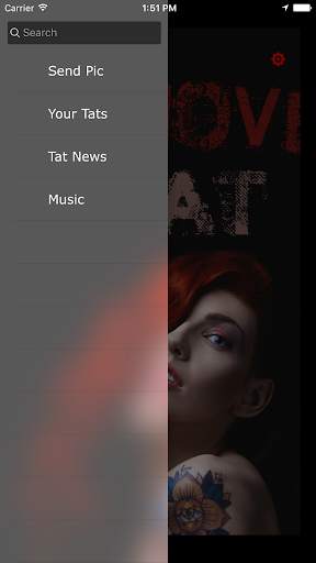 Remove My Tat screenshot 2