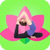 Daily Yoga logo
