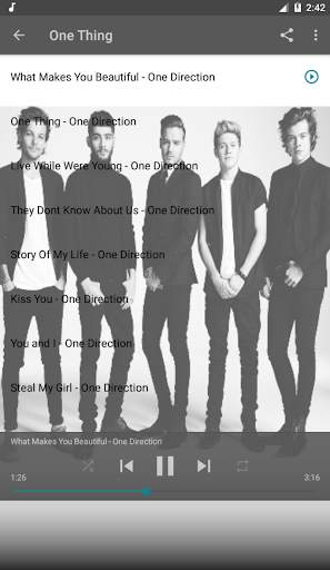 One Direction Best Of Music screenshot 2