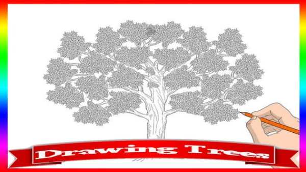 How To Draw Tree Step By Step screenshot 5