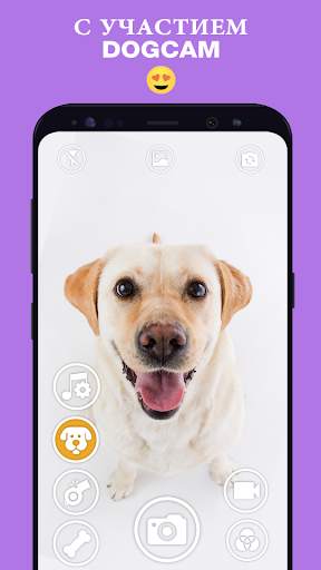 DogCam - Dog Selfie Filters and Camera скриншот 6