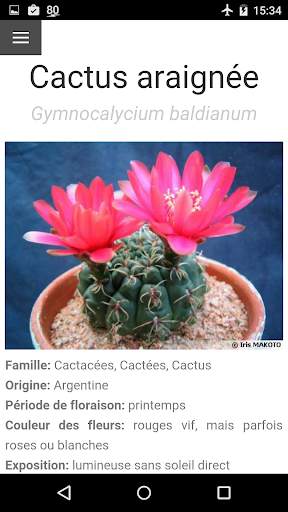 Au Cactus screenshot 3