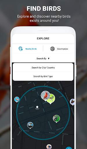 Birds Identifier App by Photo, Bird ID Camera 2020 screenshot 3