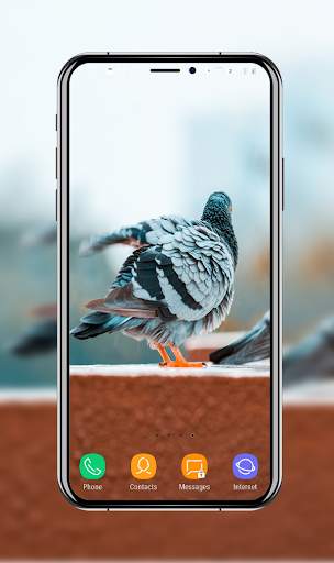 New Pigeon Wallpaper screenshot 6