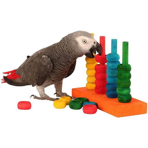 Train your parrot screenshot 1