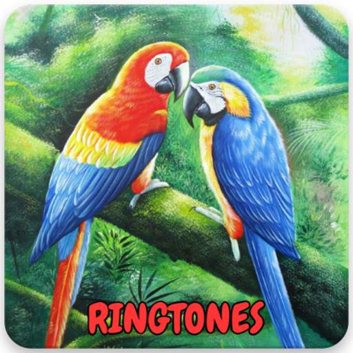 Bird Ringtones Free Download 1.0