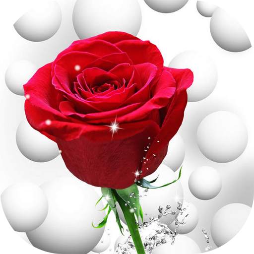 Flowers And Roses Animated Images Gif pictures 4K 3.6