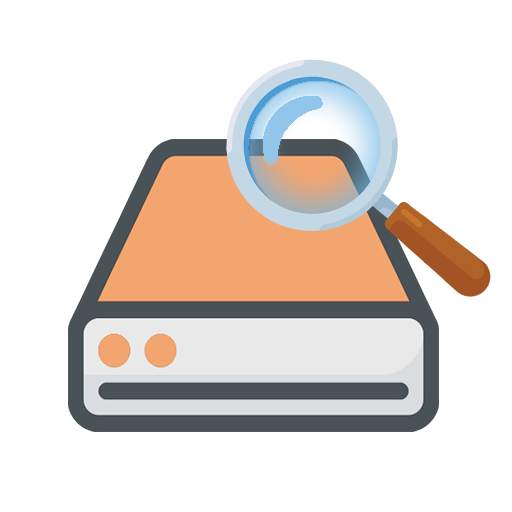 DiskD Video Recovery Pro 1.1