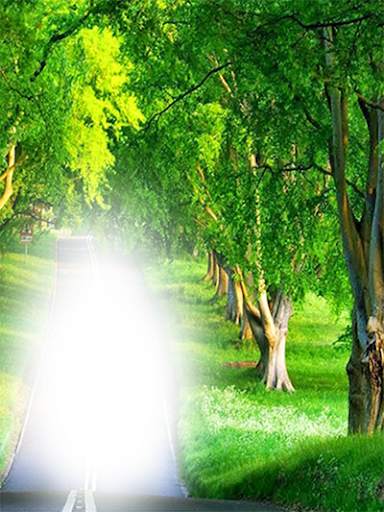 Nature Photo Frames HD screenshot 9