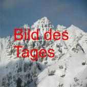 Bild des Tages lite logo