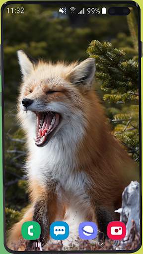 Fox Wallpaper Best HD screenshot 13
