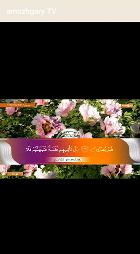 amozhgary tv screenshot 2