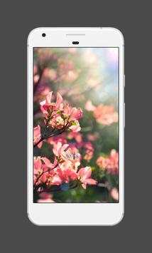 Spring Wallpapers screenshot 5