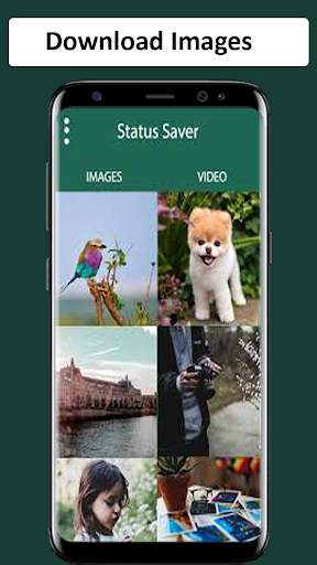 Status story saver - Save Repost download स्क्रीनशॉट 1