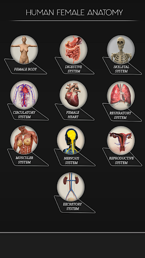 Female Anatomy 3D : Female Body Visualizer screenshot 1