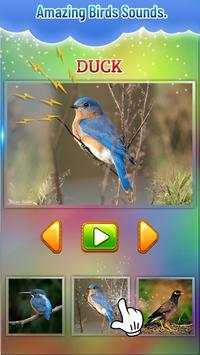 Bird Sound screenshot 4
