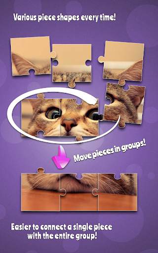 Cute Cats Jigsaw Puzzle screenshot 6
