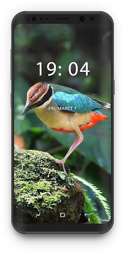 Bird Wallpapers 🦜 screenshot 1