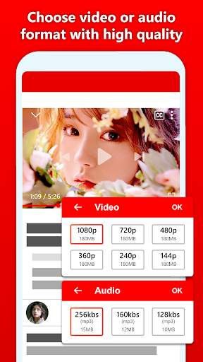 Video social downloader screenshot 3
