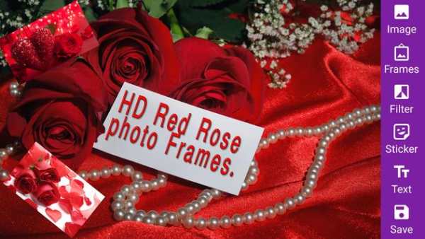 Red Rose Photo Frames HD Collection Photo Editor screenshot 1