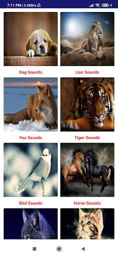 Animal Sounds screenshot 3