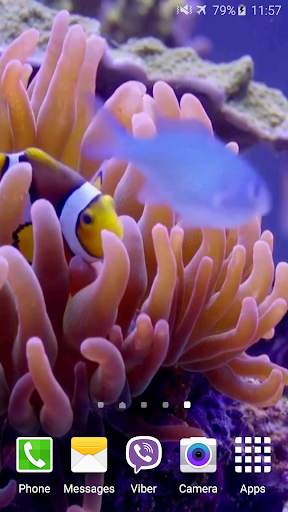 Aquarium Video Live Wallpaper screenshot 5