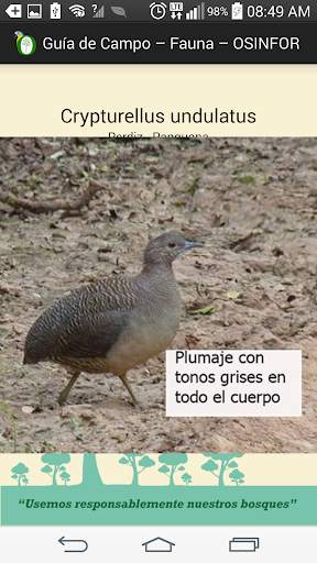 Guía Fauna - OSINFOR screenshot 4