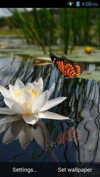 3D Butterfly Live Wallpaper screenshot 6