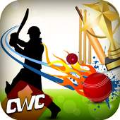 Cricket World Cup Schedule: 1.1