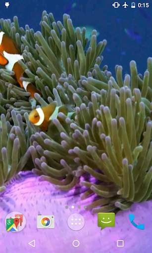 Clownfish Video Live Wallpaper screenshot 3