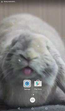 Bunny Licks Screen Wallpaper screenshot 1