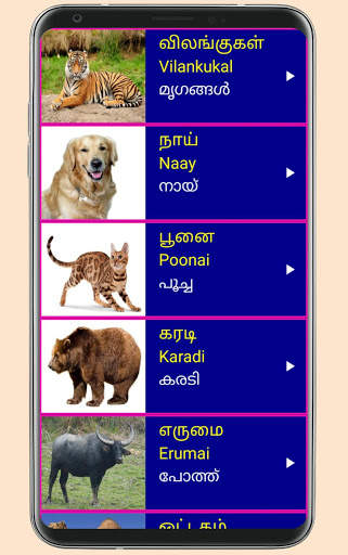 Learn Tamil From Malayalam 5 تصوير الشاشة