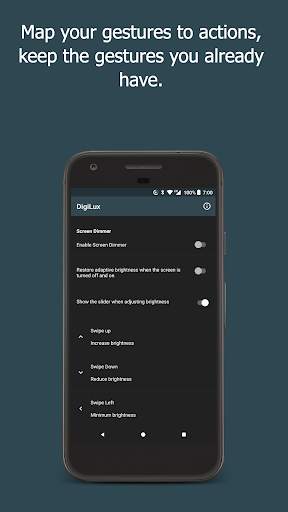 DigiLux: Fingerprint Gestures for Phone Brightness screenshot 2