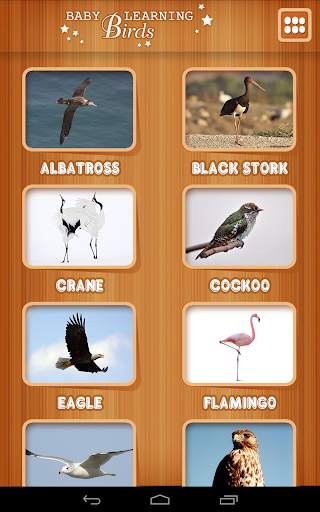 Baby learning Birds (Card) स्क्रीनशॉट 3