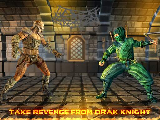 Street Kung Fu Do Fighting Vs Real Shadow Ninja screenshot 11