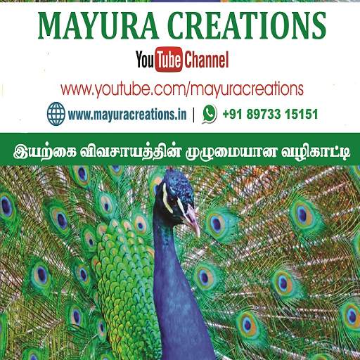 Mayura Creations 4.0