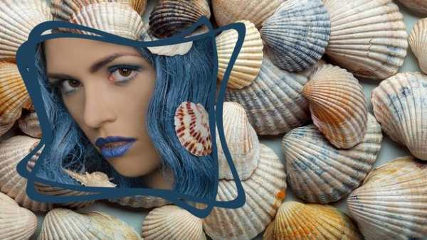Seashells Photo Frames screenshot 7