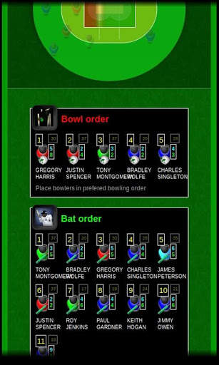 run Cricket Manager screenshot 2
