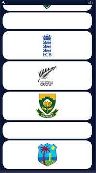 Cricket World-Cup 2k19 screenshot 4