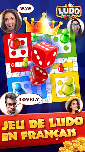 Jeu de ludo pro screenshot 1