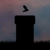 Flappy Shadow Bird 1.0