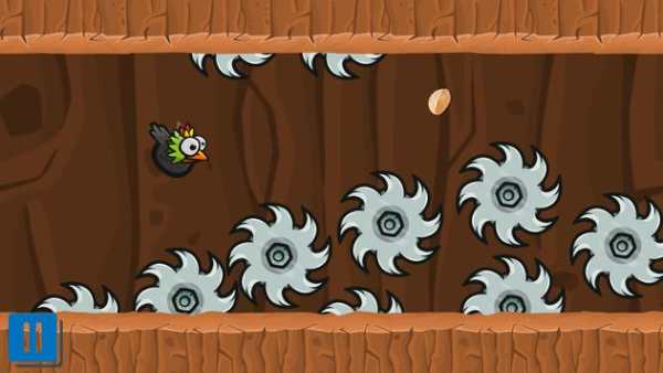 BulBul Bird screenshot 4
