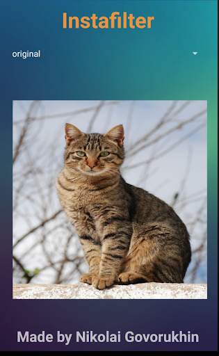 PhotoFilter screenshot 1