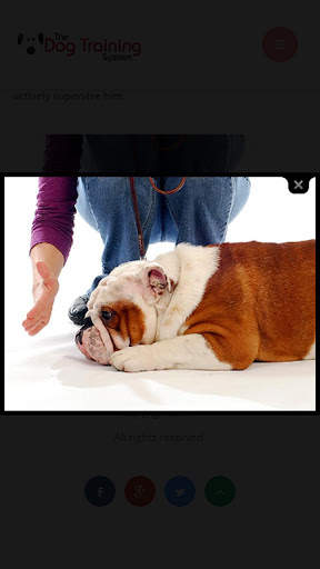 Dog Training screenshot 4