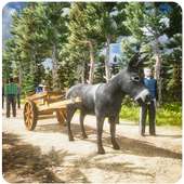 Donkey Corolla : Cargo Donkey king 2019 Parking logo