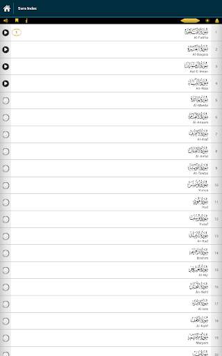 Quran Memorizer screenshot 12
