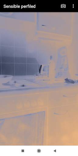 Paranormal Camera Detector screenshot 7