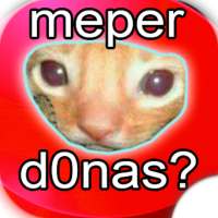 😻 Me Perdonas Stickers: Memes de Gatos Wastickers