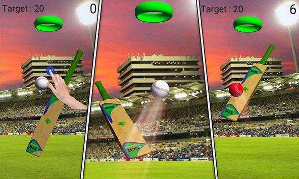 World Cricket Super League screenshot 7