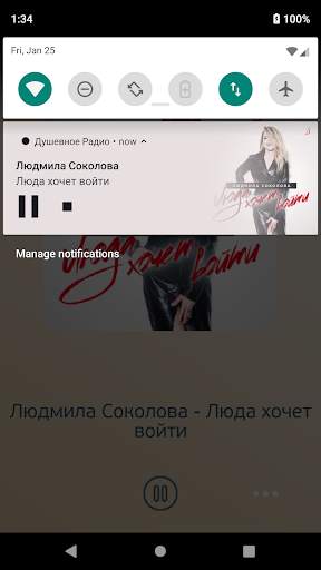 Душевное Радио скриншот 6